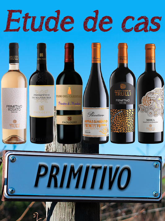 Box Scoperte "Il Primitivo"