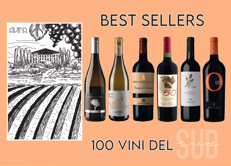 Box Best Sellers 100 vini del Sud 2024