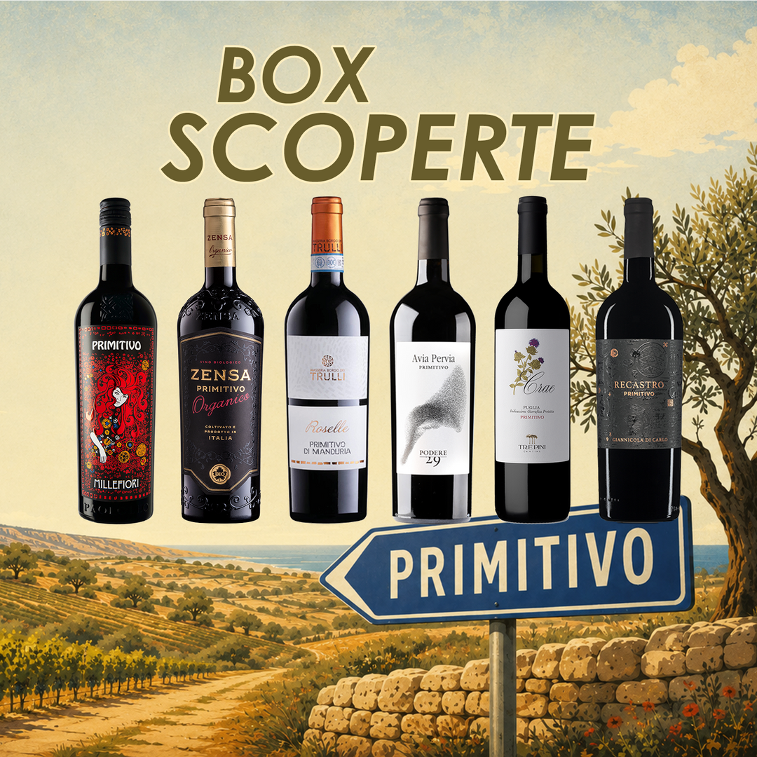 Box Scoperte Primitivo