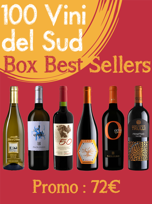Box Best Sellers 100 vini del Sud